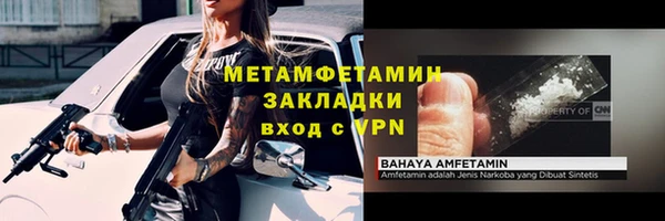 прущие грибы Каменск-Шахтинский