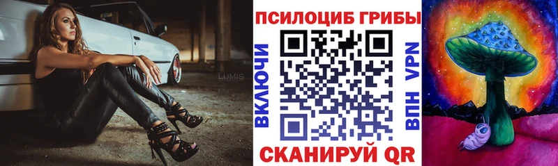 Псилоцибиновые грибы прущие грибы где найти Гаврилов-Ям